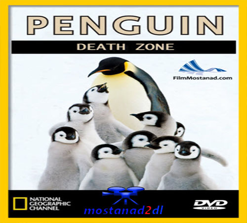 دانلود Penguin Death Zone - مستند دوبله فارسی علمی، جهنم پنگوئن ها